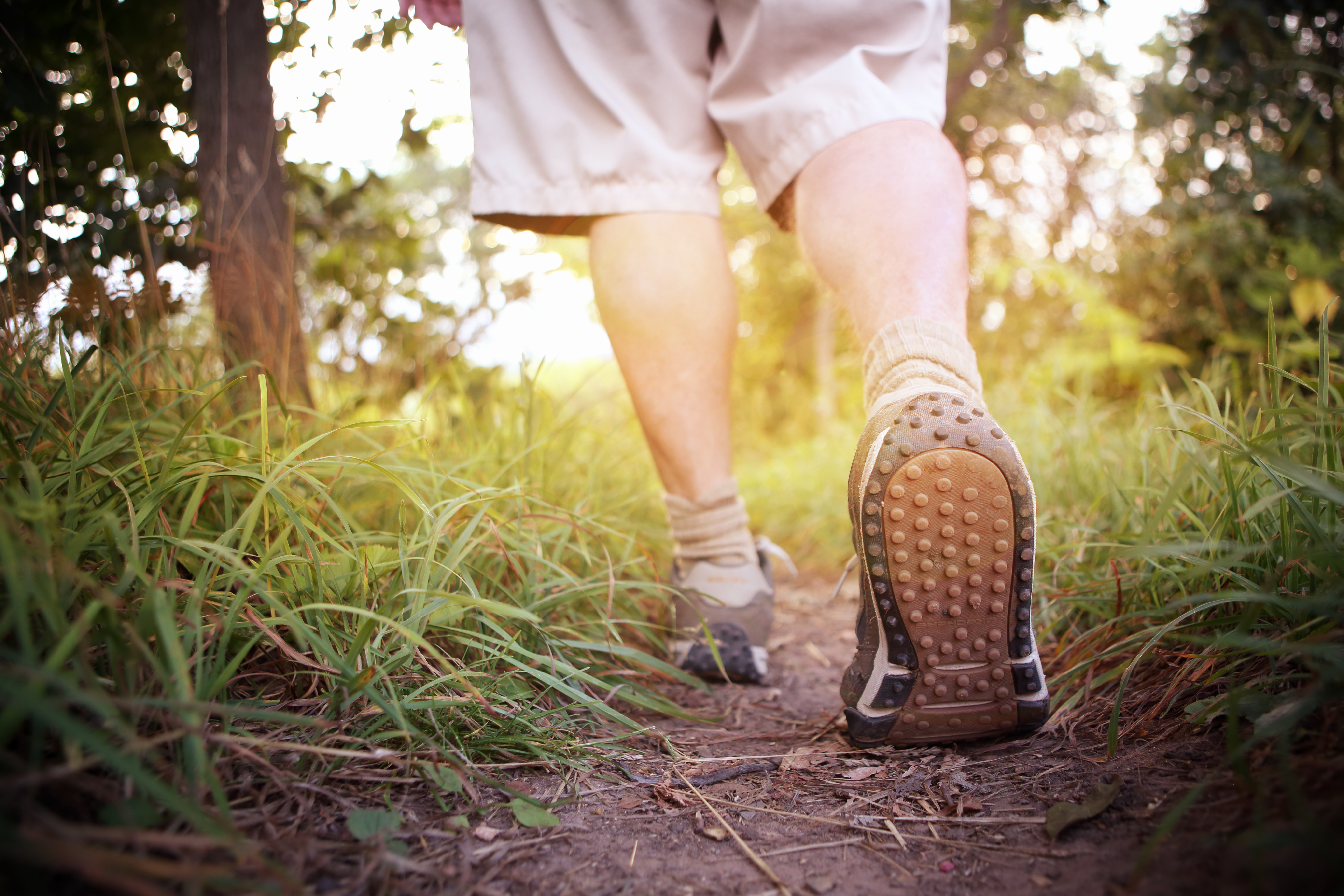 Close up of the feet of someone walking through a forest
