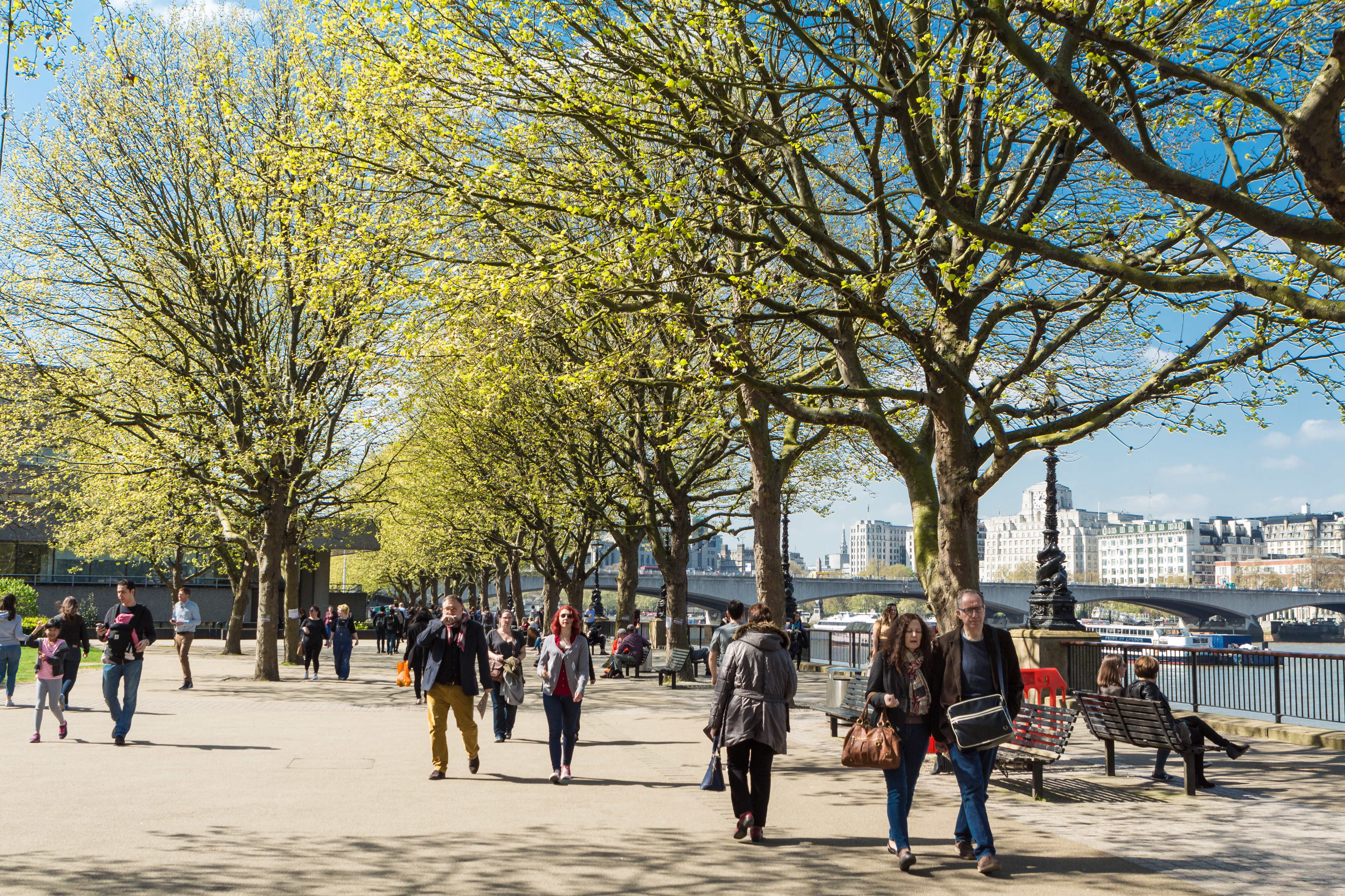 People walking outdoors