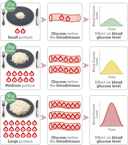 Diagram showing the effect of different portions of white rice on blood glucose levels