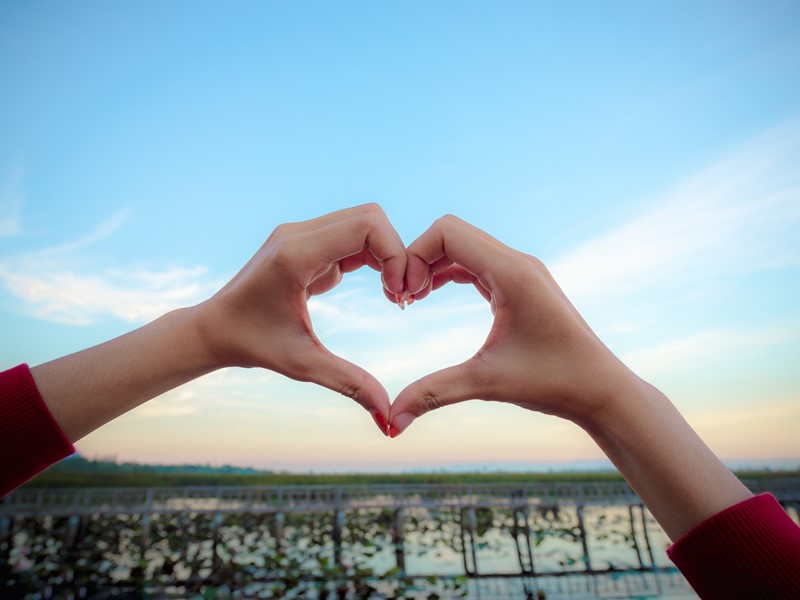 Person making a heart with their hands