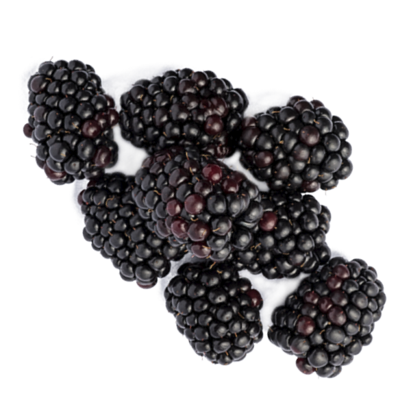 8 large blackberries
