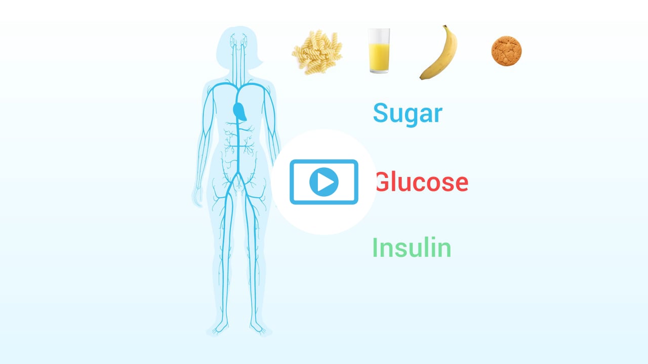 Diagram of human body with words sugar, glucose & insulin